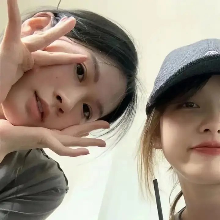 代号九耳犬